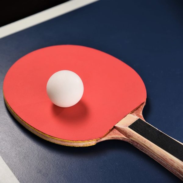 All Weather Table Tennis Table for Parks and Schools
