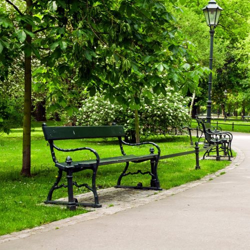 Cast Iron Park Benches 001
