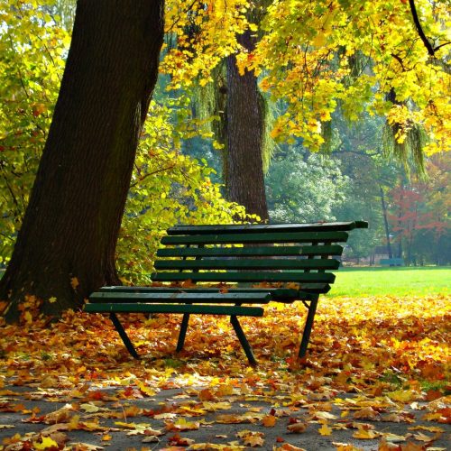 Cast Iron Park Benches 003