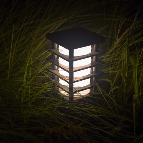 Decorative LED Garden Lights 001
