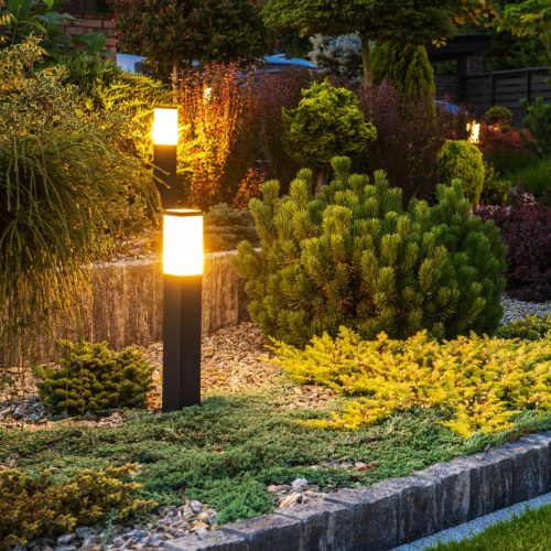 Decorative LED Garden Lights 004