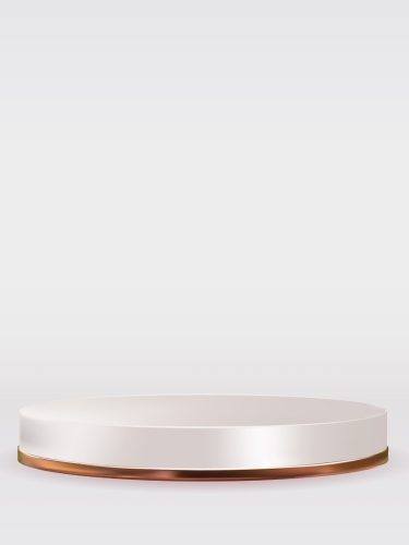 Durable stainless steel round platform for load bearing tasks