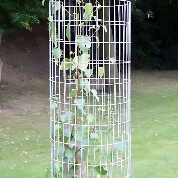 Durable tree guard protecting young sapling in outdoor setting