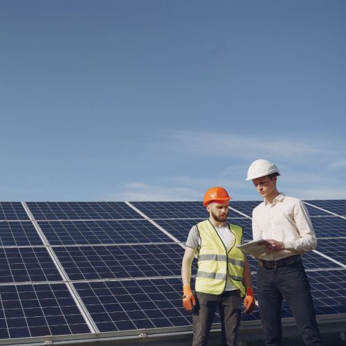 Eco friendly photovoltaic solar panels by Triveni Solar