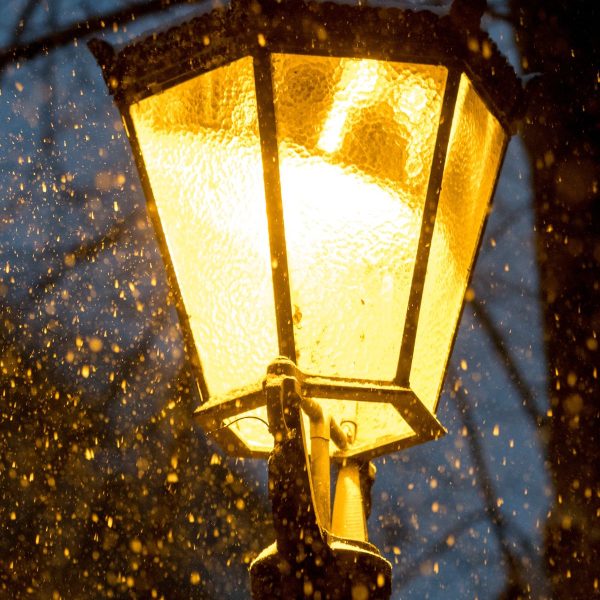 Energy efficient LED post top lights installed in a modern park