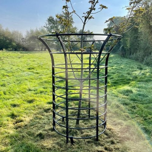 Heavy duty metal tree guard installed in urban park area