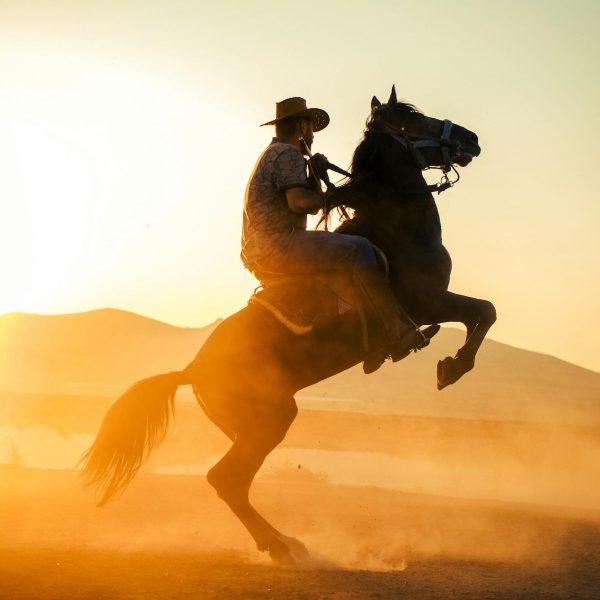 Horse rider silhouette at sunset on a mountain trail