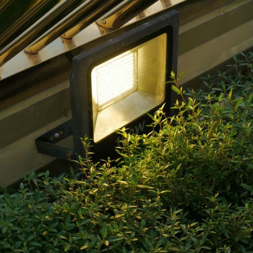 LED Flood Light