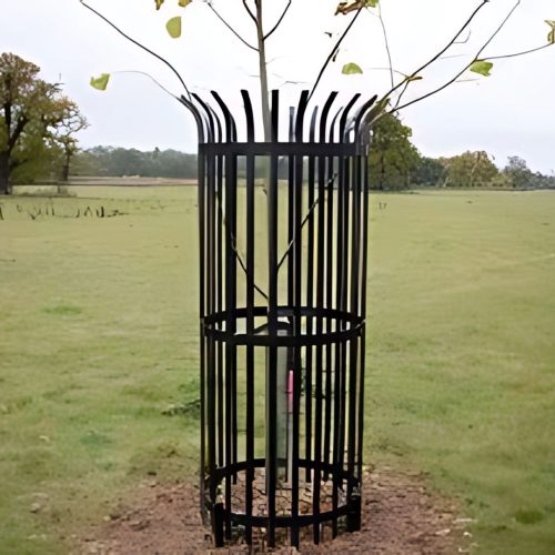 Mild Steel Tree Guards 003