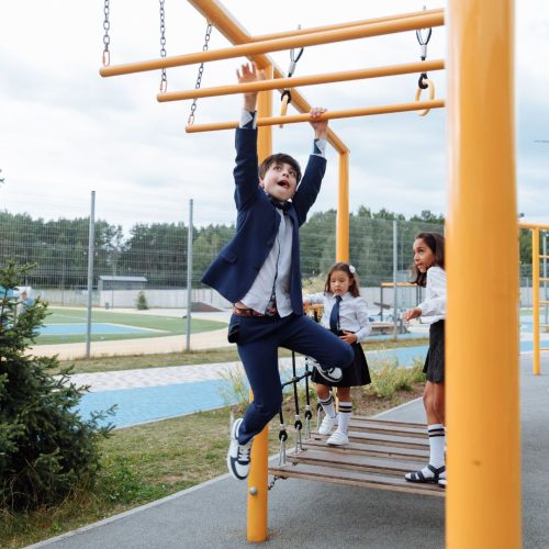 Monkey Bars and Climbing Structures 002