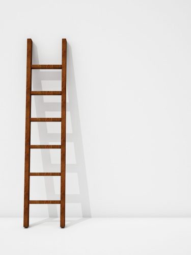 Multipurpose ladder for solar maintenance tasks