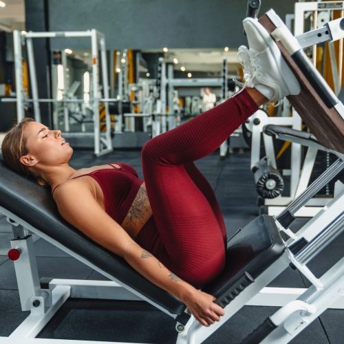Outdoor Rowing and Leg Press Units 004