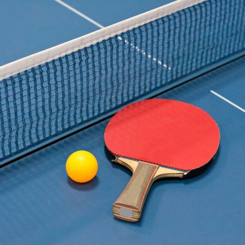 Outdoor Table Tennis Tables 003 (2)