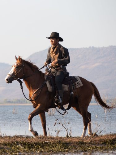 Professional horse rider galloping across a grassy field