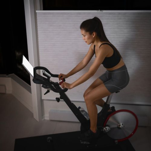 Stationary Exercise Cycle (Outdoor Gym Type) 004