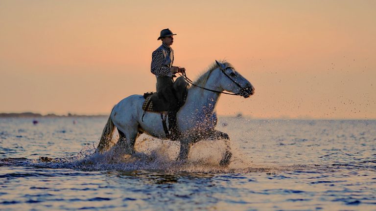 Traditional Indian horse rider in colorful attire