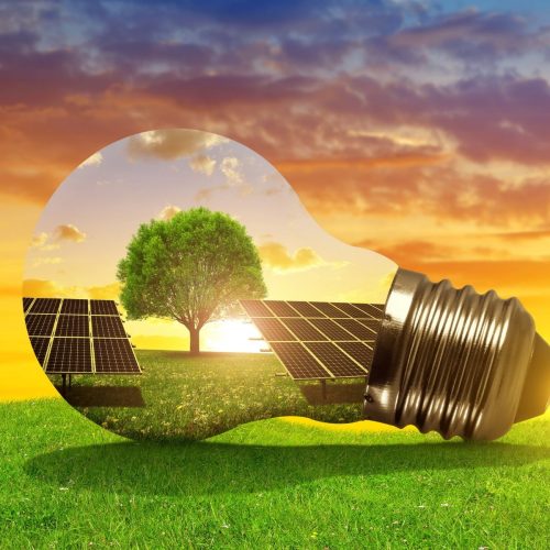 Triveni Solar high mast lighting system for industrial use