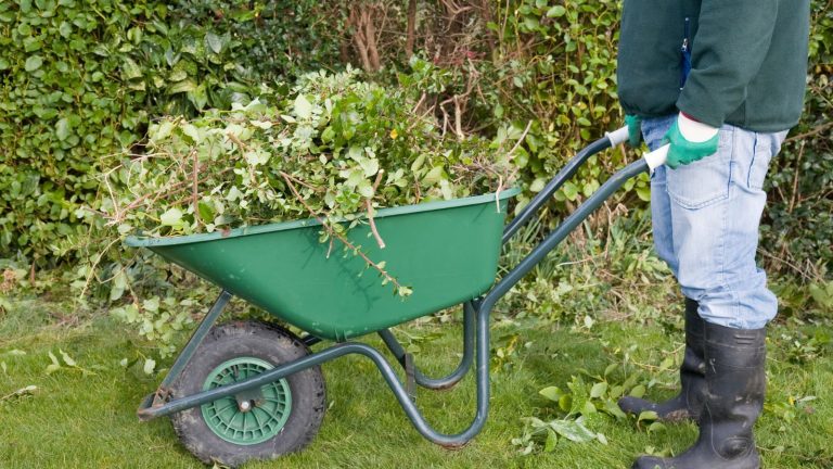 Triveni Solar wheel barrow for industrial applications