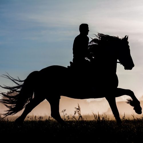 Young horse rider training in an equestrian arena