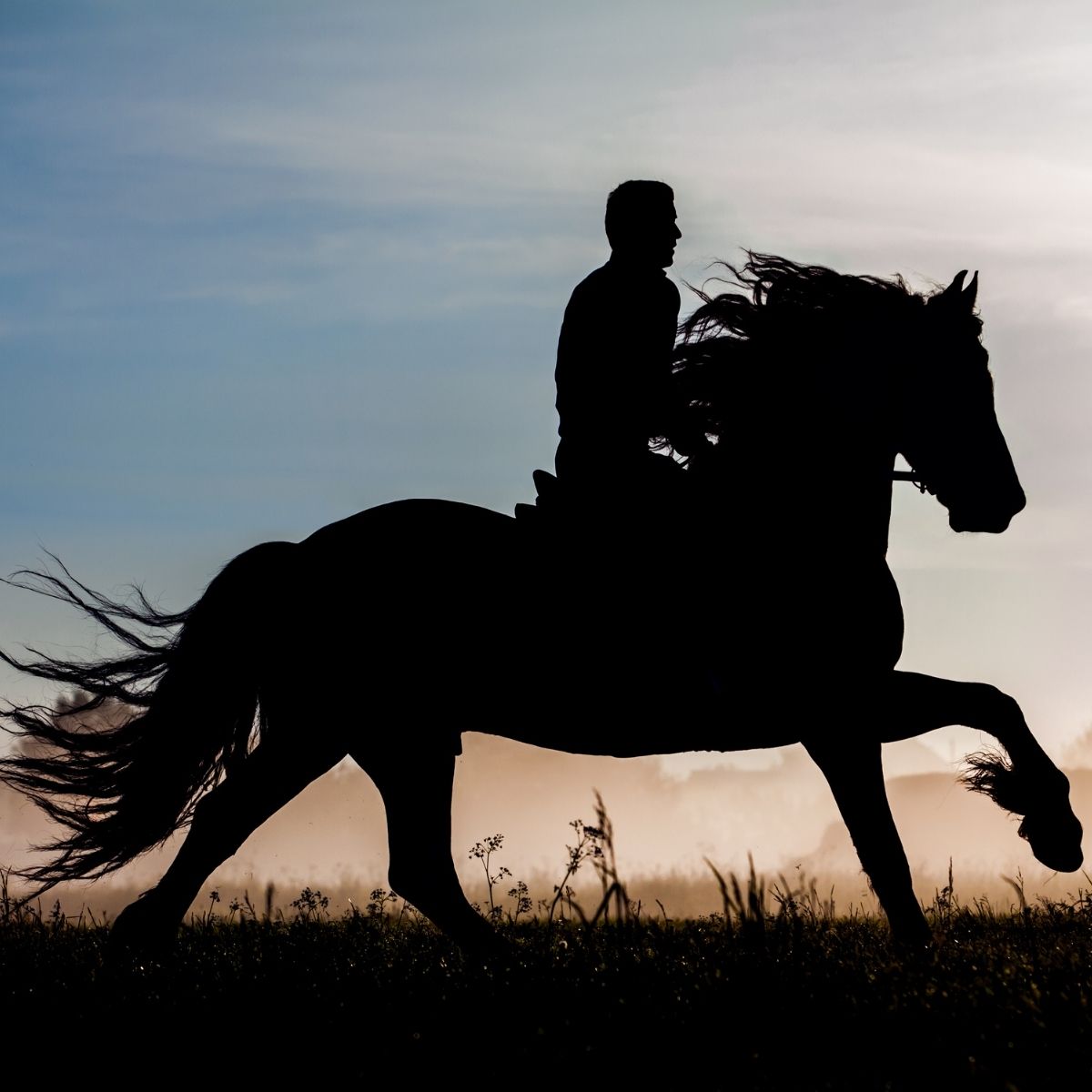 Horse Rider Garden Light – Manufacturer & Supplier India